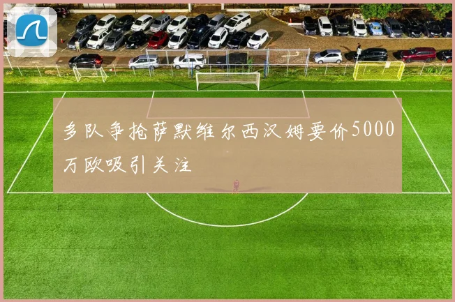 多队争抢萨默维尔西汉姆要价5000万欧吸引关注