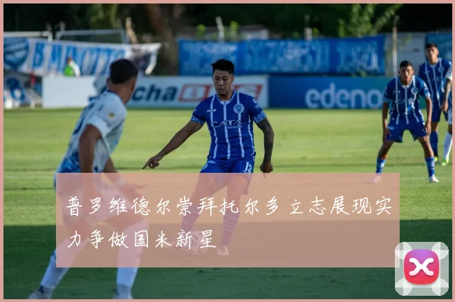 普罗维德尔崇拜托尔多立志展现实力争做国米新星